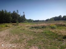 Działka rekreacyjna Ptakowice, ul. Wyzwolenia. Zdjęcie 3