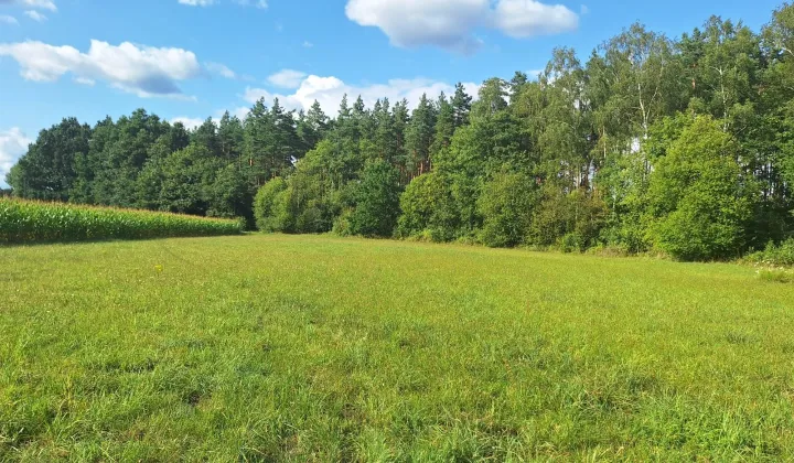 Działka budowlana Branica