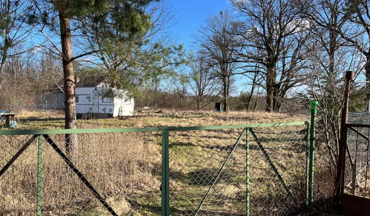 Działka rolno-budowlana Łozy