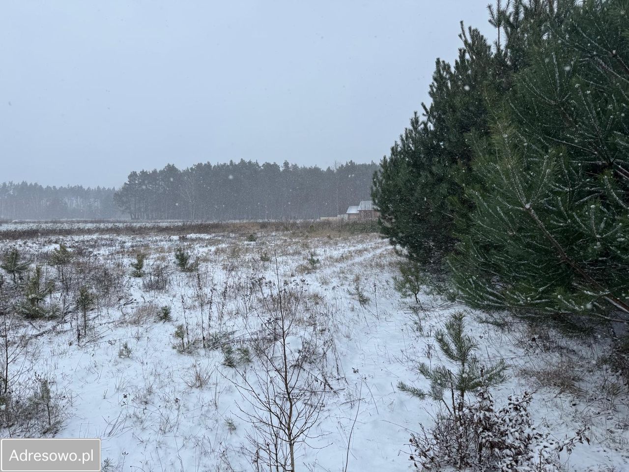 Działka budowlana Siestrzeń. Zdjęcie 13