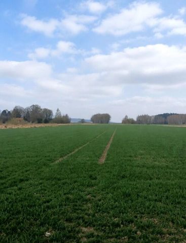 Działka budowlana Świerzowa Polska. Zdjęcie 3