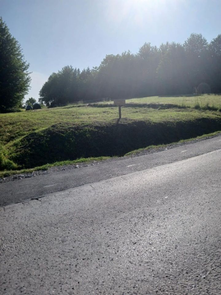 Działka rolna Zręczyce. Zdjęcie 6