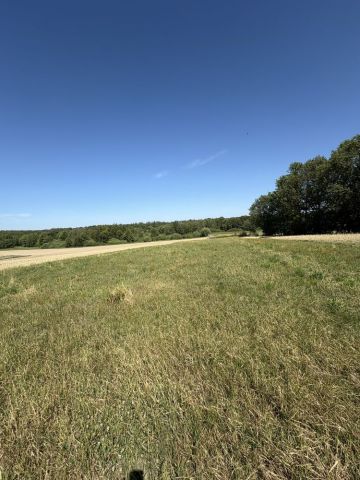 Działka rolna Frydrychowice. Zdjęcie 1