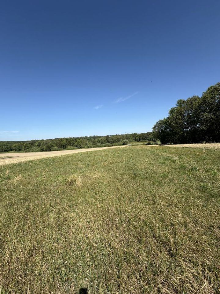 Działka rolna Frydrychowice