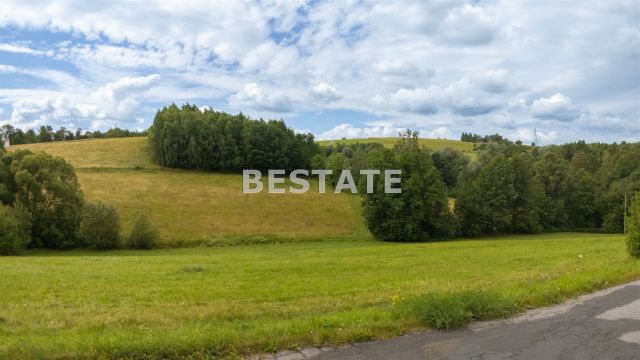 Działka rolna Rzepiennik Strzyżewski. Zdjęcie 2