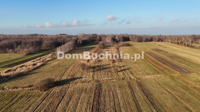 Działka budowlana Jodłówka. Zdjęcie 13