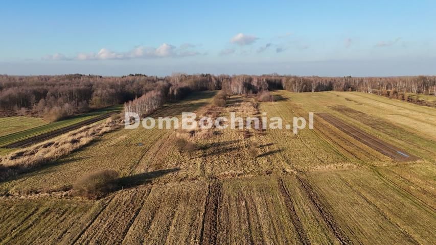 Działka budowlana Jodłówka. Zdjęcie 13