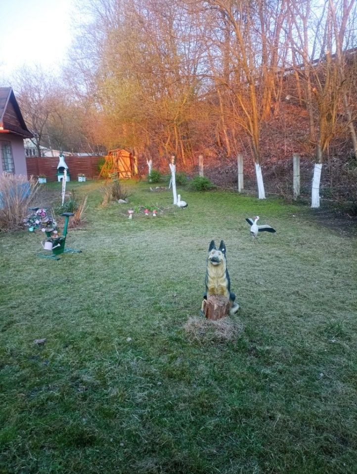 Działka rod Zabrze Mikulczyce. Zdjęcie 5