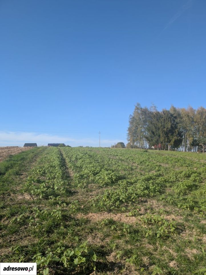 Działka budowlana Frydrychowice, ul. Górna. Zdjęcie 7