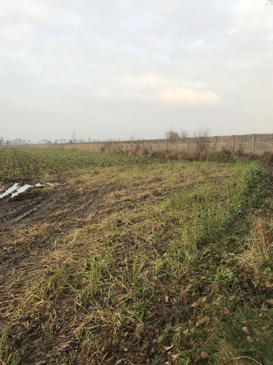 Działka rolno-budowlana Lulinek. Zdjęcie 3