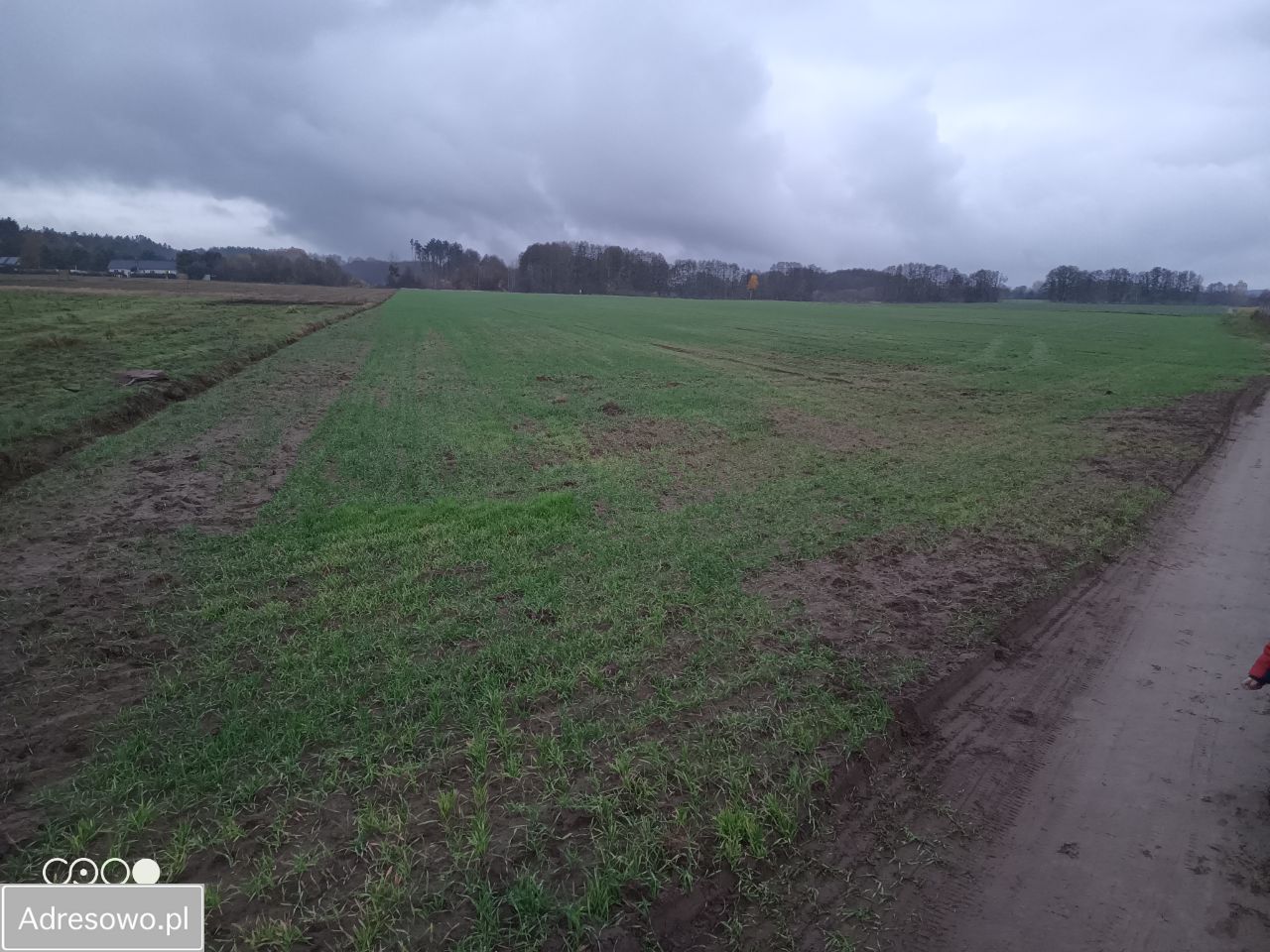 Działka budowlana Chwalęcice, ul. Leśna. Zdjęcie 9