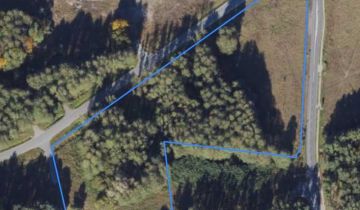 Działka inwestycyjna Kruszyn Krajeński, ul. Świerkowa