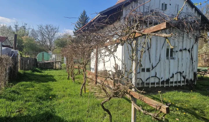 Działka rod Wrocław Psie Pole