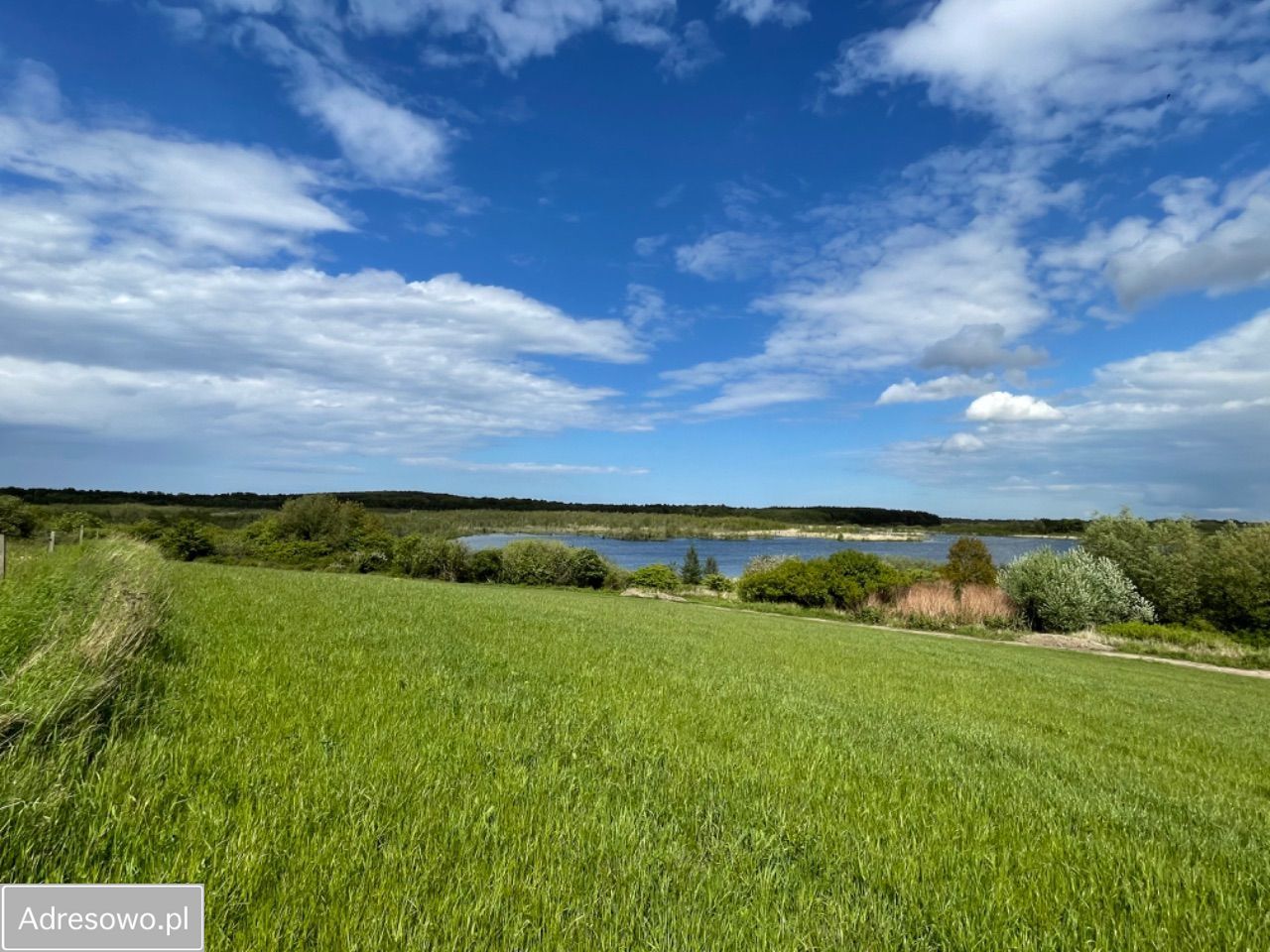 Działka rekreacyjna Konarzewo. Zdjęcie 5