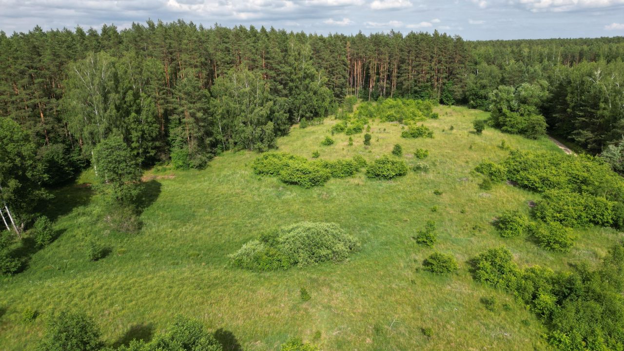 Działka rolno-budowlana Krawno. Zdjęcie 4