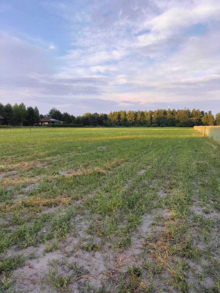 Działka rekreacyjna Grabniak. Zdjęcie 2