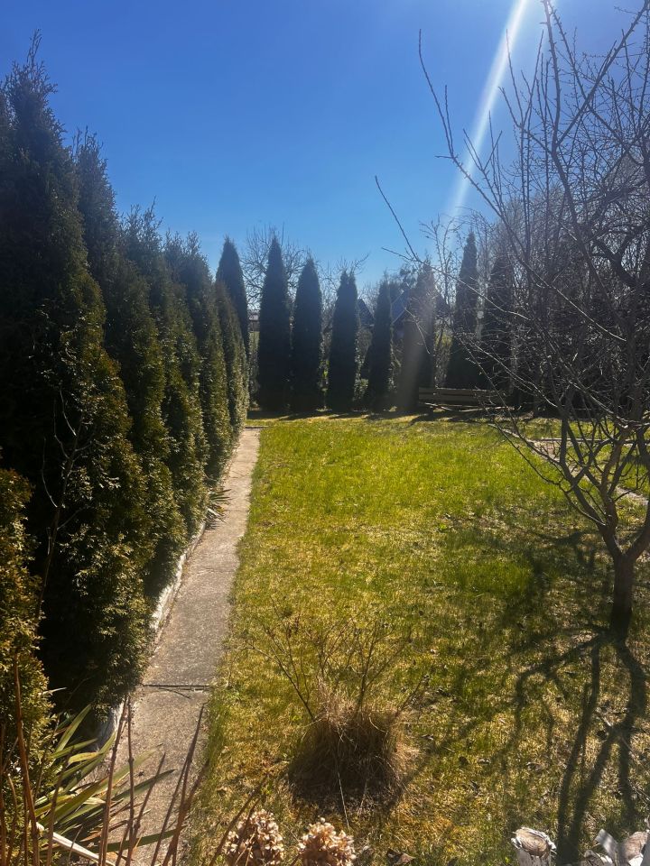 Działka rekreacyjna Lesiak Ostródzki. Zdjęcie 4