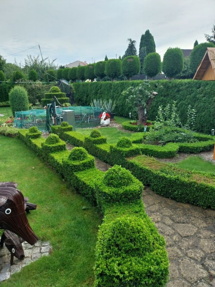 dom szeregowy, 6 pokoi Malbork, ul. Jaśminowa. Zdjęcie 2