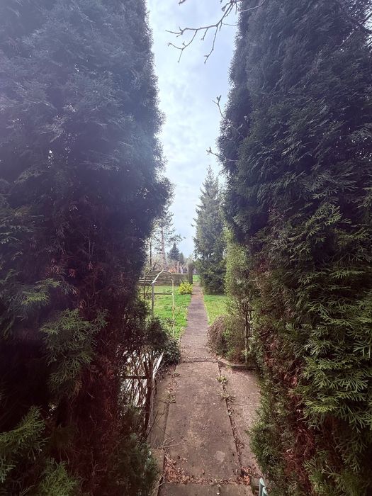 Działka rod Zabrze Mikulczyce. Zdjęcie 5
