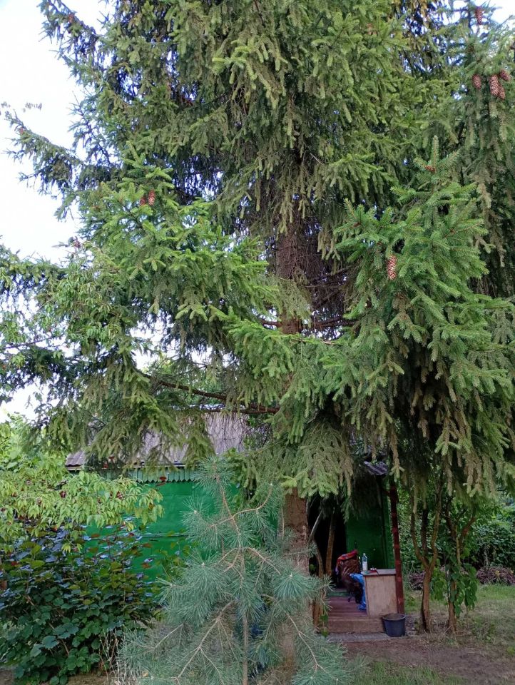 Działka rod Warszawa Wilanów. Zdjęcie 4