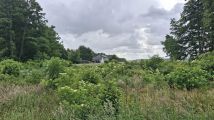 Działka rekreacyjna Ruda Jeżewska Zygmuntów, Przyszłość. Zdjęcie 3