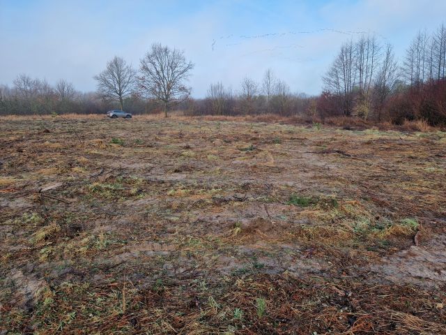 Działka rolno-budowlana Szczutkowo. Zdjęcie 1