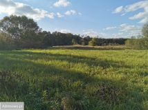 Działka budowlana Siedliska. Zdjęcie 2