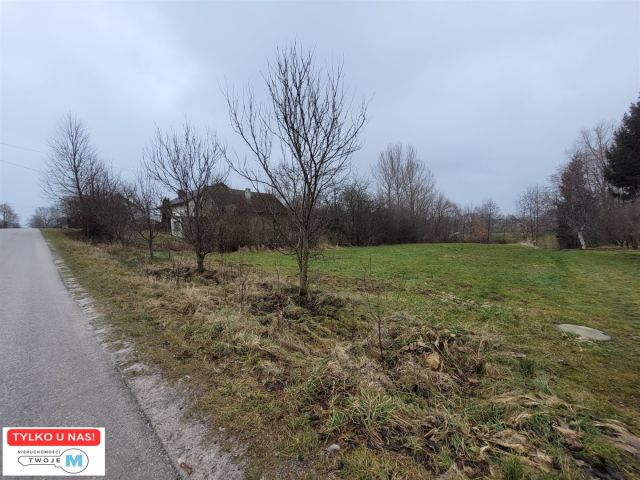 Działka rolna Bodzentyn. Zdjęcie 1