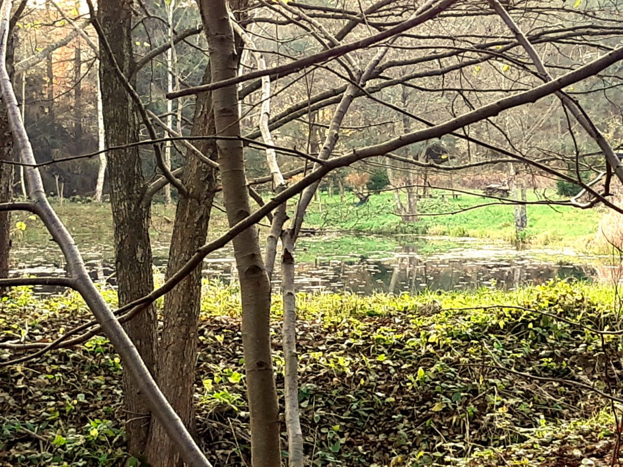 Działka budowlana Opalino, Lipowa. Zdjęcie 5