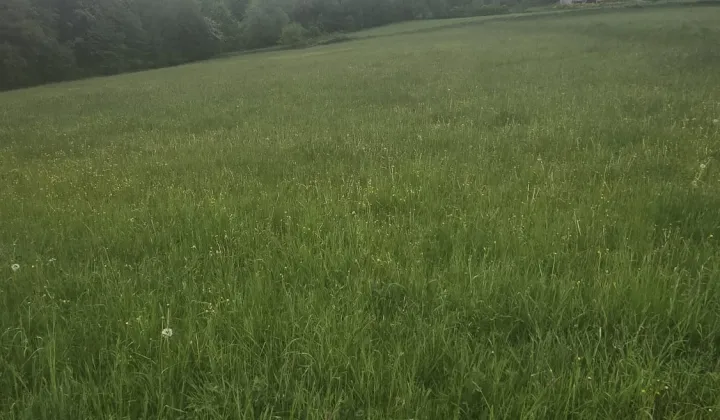 Działka budowlana Nawojowa Podkamienne, ul. Podgórska