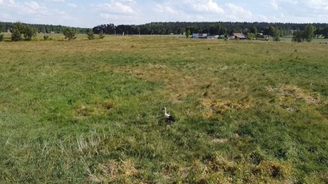 Działka budowlana Liwa. Zdjęcie 1
