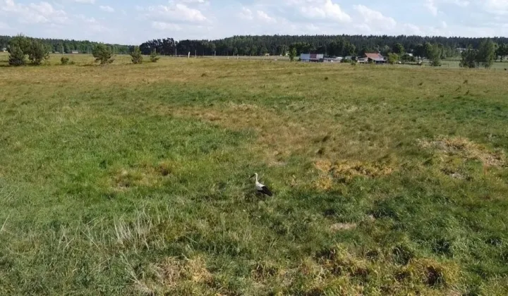 Działka budowlana Liwa