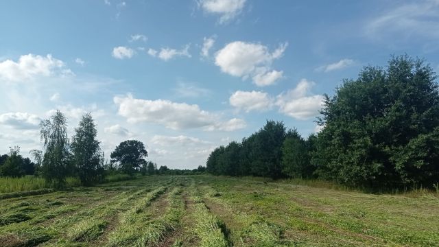 Działka budowlana Wygoda. Zdjęcie 1