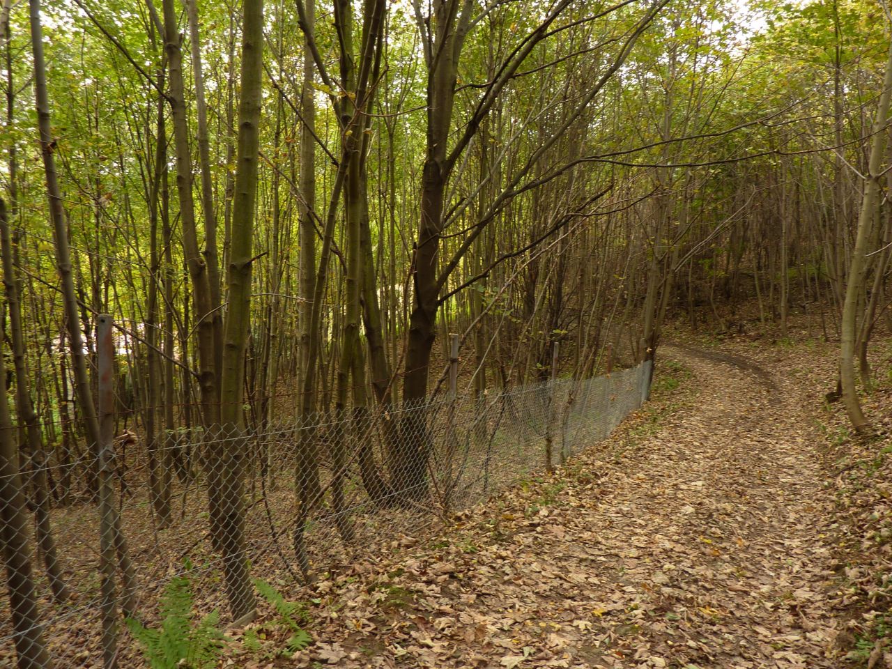 Działka rolna Pewel Wielka Garleje. Zdjęcie 25