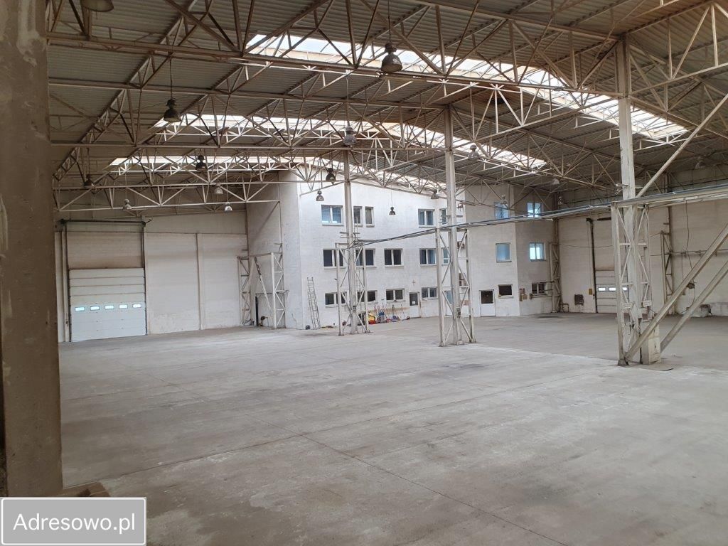 Hala/magazyn Ryglice. Zdjęcie 19