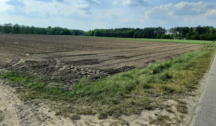 Działka budowlana Myszyniec Stary
