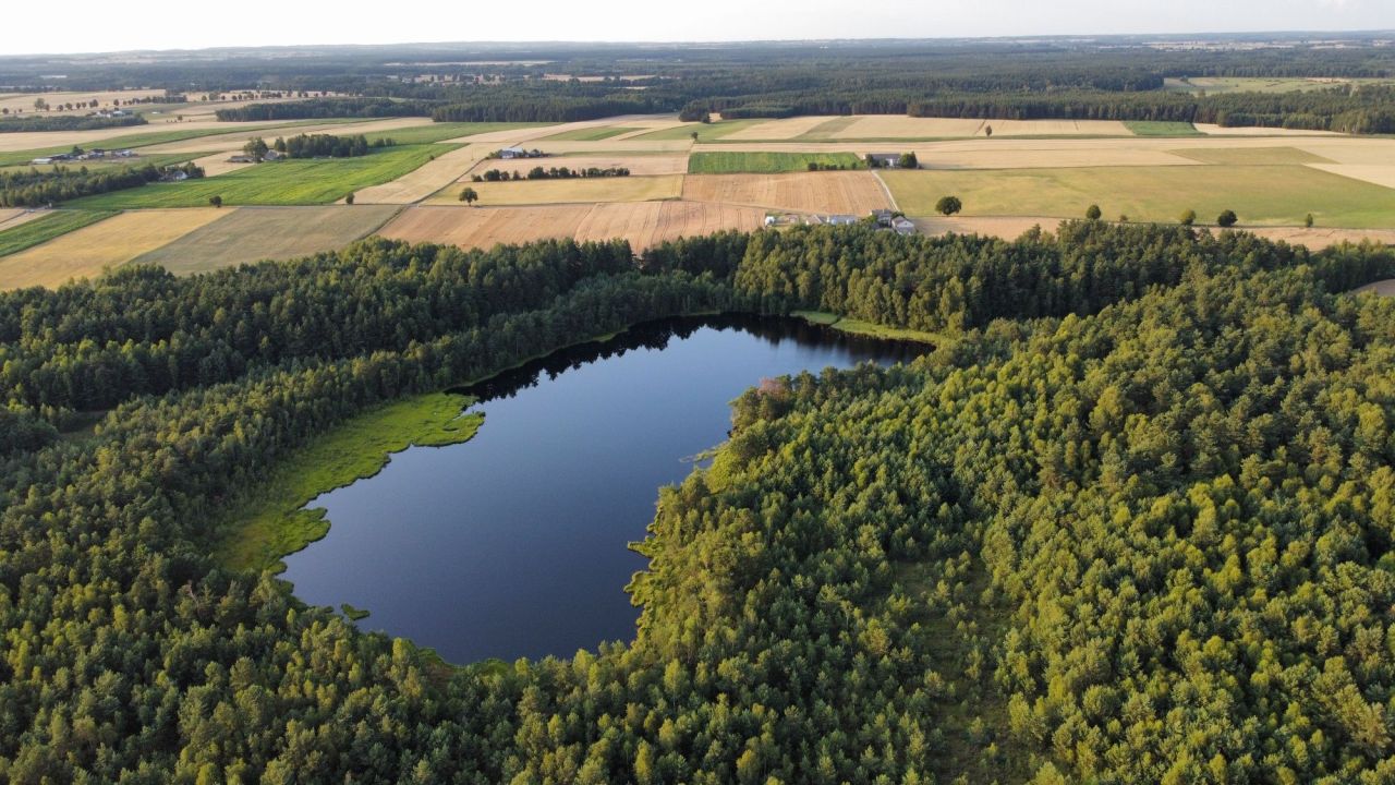 Działka inwestycyjna Lidzbark. Zdjęcie 5