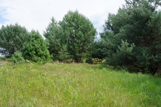 Działka budowlana Nagodów. Zdjęcie 4