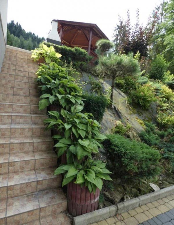 Hotel/pensjonat Brenna. Zdjęcie 6