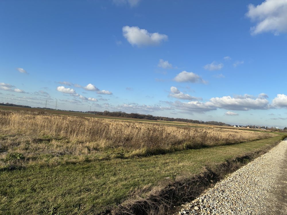 Działka budowlana Gaj Oławski. Zdjęcie 1