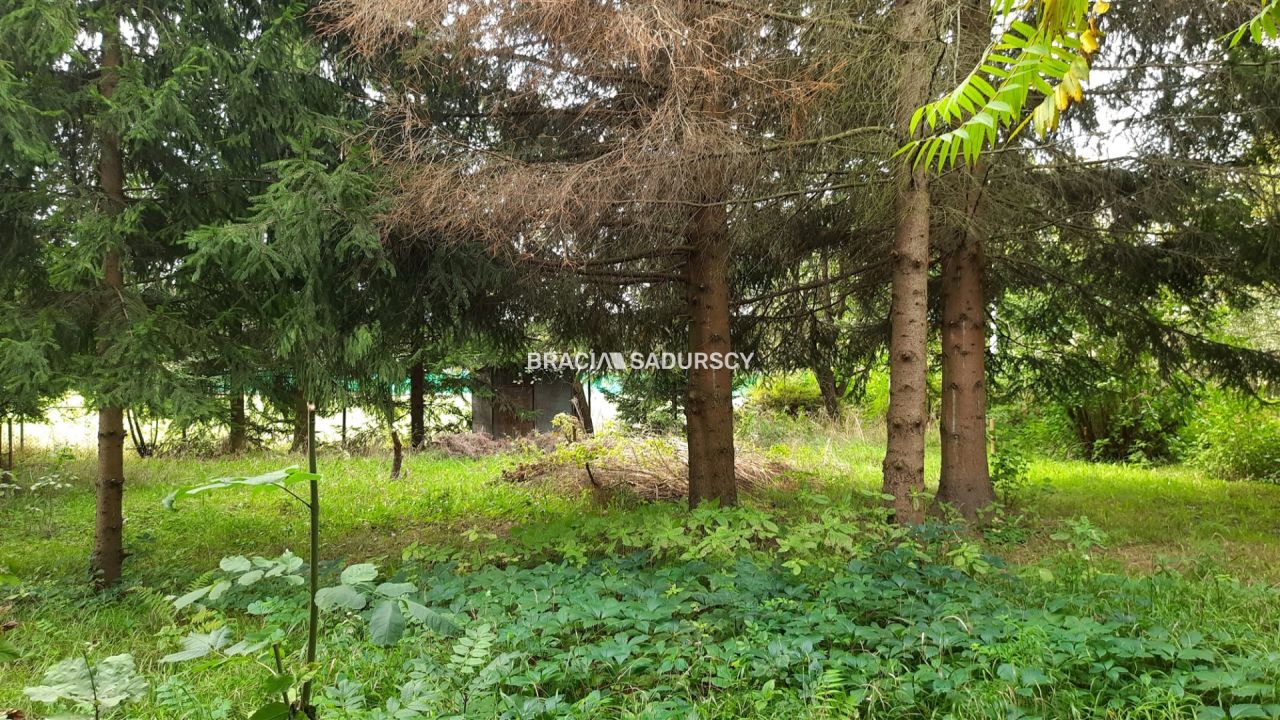 Działka rekreacyjna Lusina, ul. Przymiarki. Zdjęcie 11