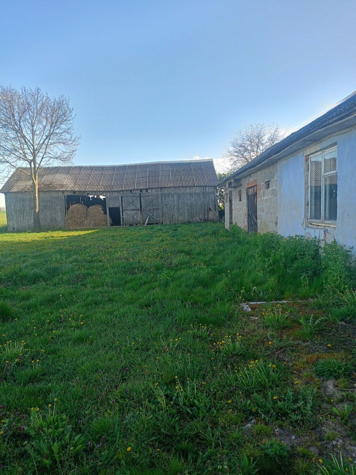 Działka budowlana Wielkie, Wielkie. Zdjęcie 3