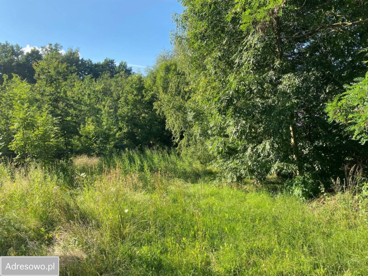 Działka budowlana Mogilany. Zdjęcie 7