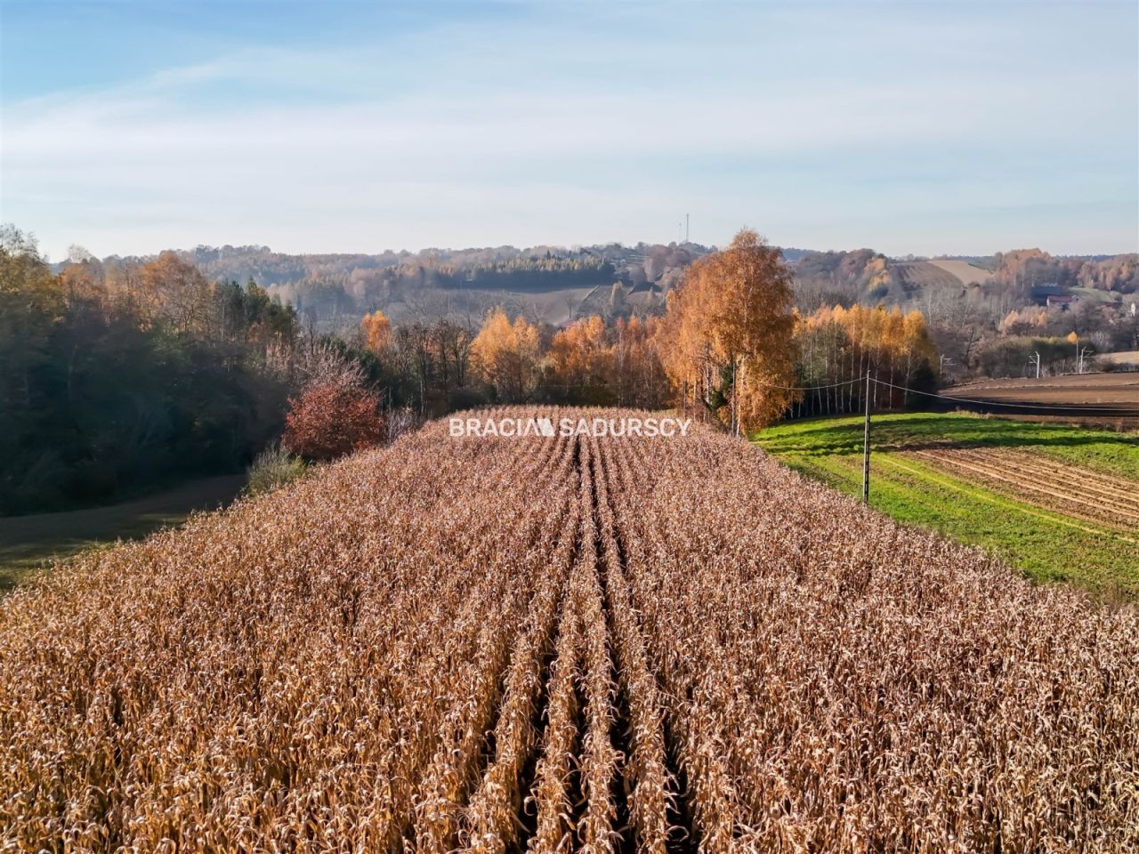 Działka budowlana Przesławice. Zdjęcie 3