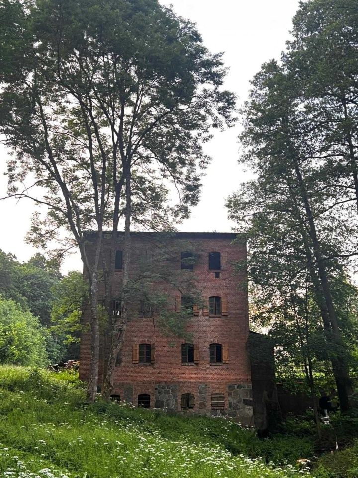 Nieruchomość komercyjna Brzeźnica. Zdjęcie 1