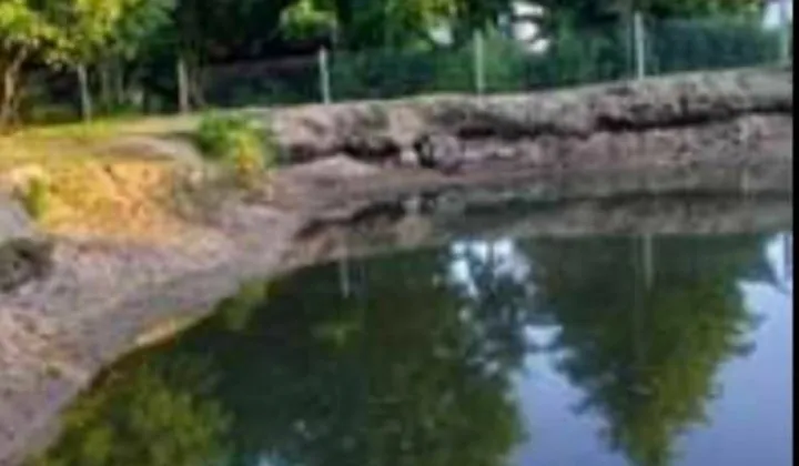 Działka budowlana Zielenica