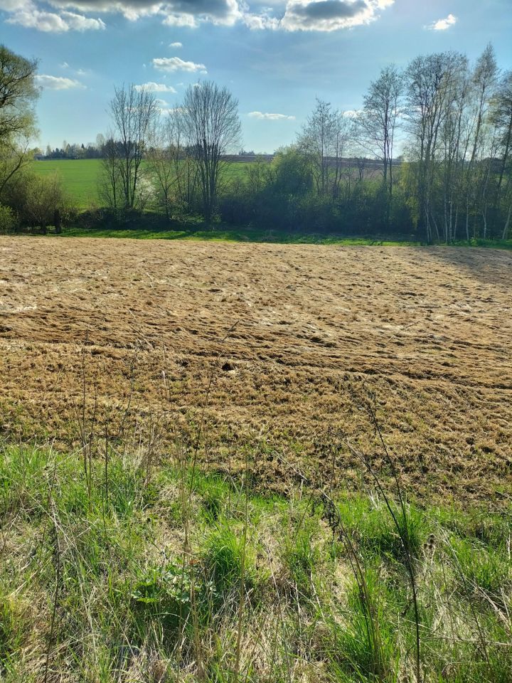 Działka rolna Kościejów, droga po działce 682. Zdjęcie 8