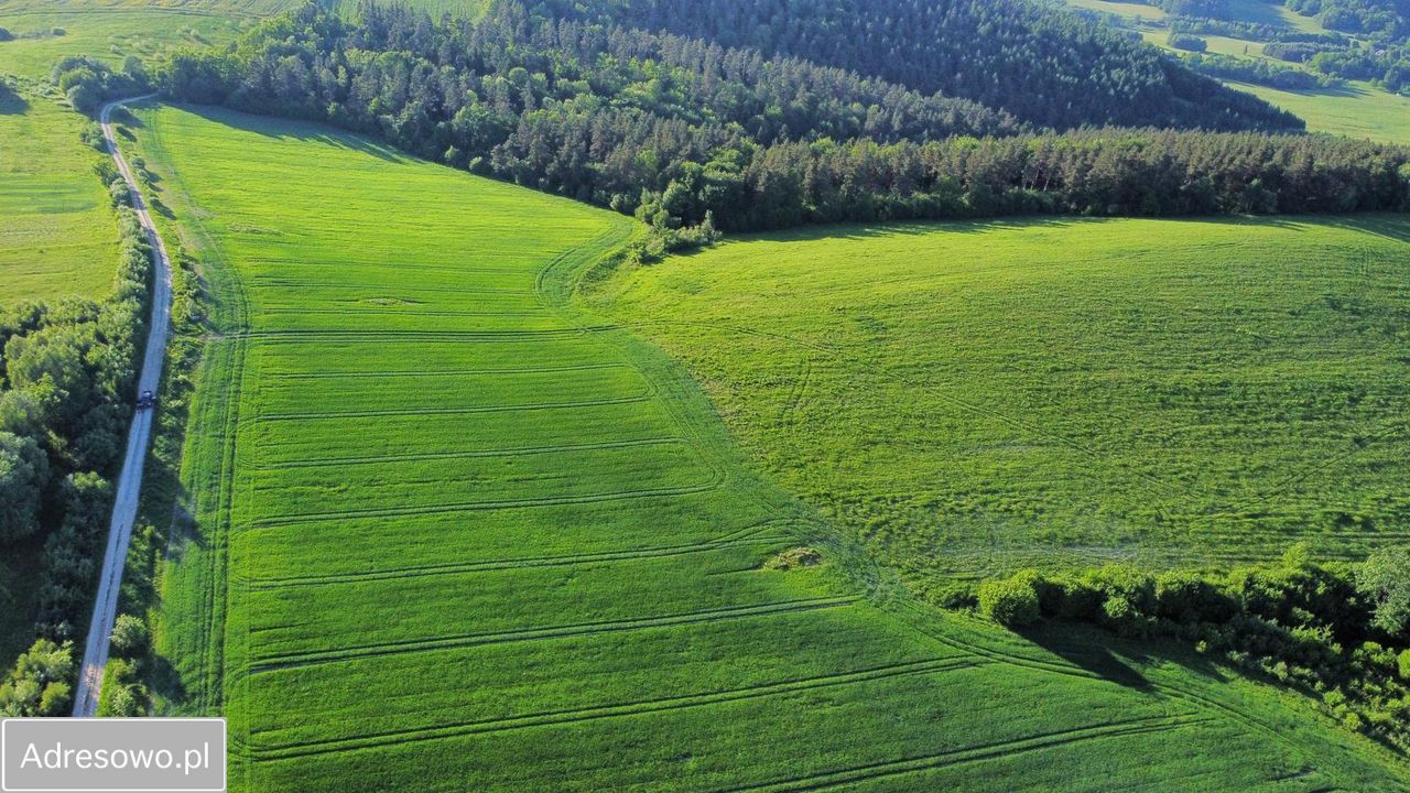 Działka rolna Leszczawa Górna. Zdjęcie 11