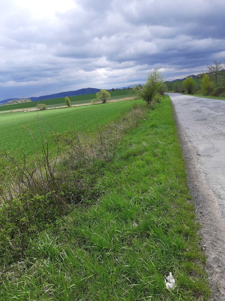 Działka rolna Jemna. Zdjęcie 4