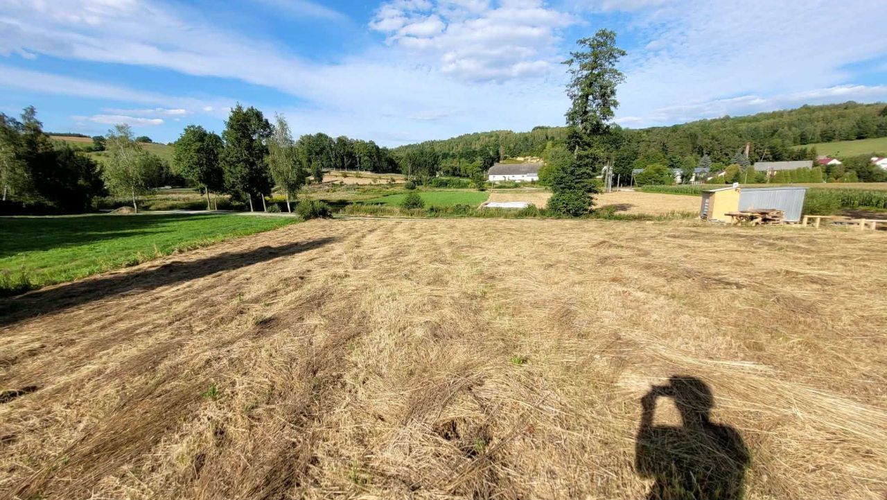 Działka budowlana Dobrzechów Kolonia. Zdjęcie 1